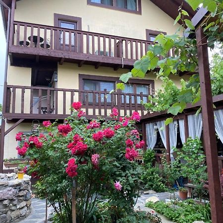 Casa Donau Delta Hotel Sulina Ngoại thất bức ảnh
