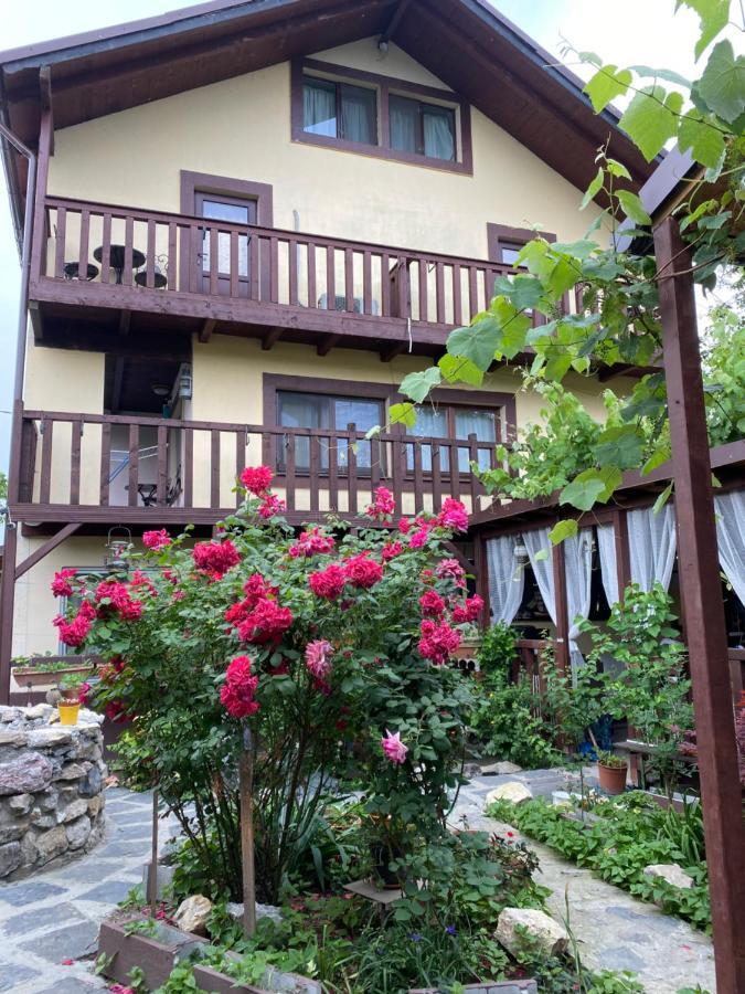 Casa Donau Delta Hotel Sulina Ngoại thất bức ảnh